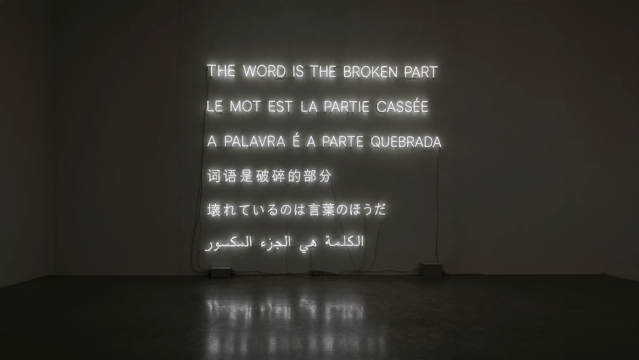 Physical multilingual neon letters mounted on a gallery wall
